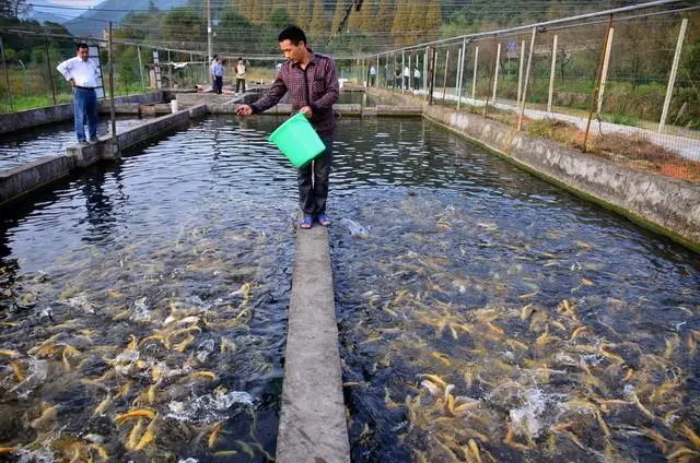 渔业养殖水质检测